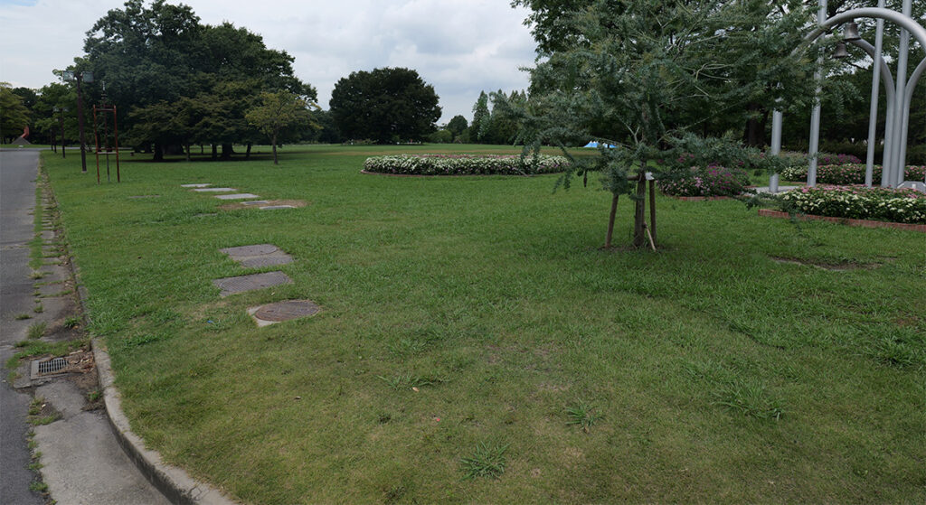 庄内緑地公園　芝生広場